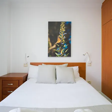 Tatil Evi Penthouse Terrace City-sea View By Canariasgeytaway